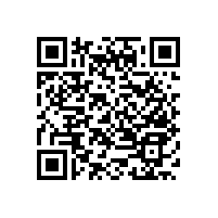 不銹鋼靠墻扶手美觀精細(xì)【藍(lán)品盾】