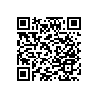 不銹鋼馬桶扶手-看看客戶選擇的哪幾款？