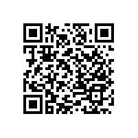 不銹鋼衛(wèi)生間扶手，安全如廁的好幫手