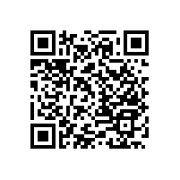 不銹鋼衛(wèi)生間門拉手-材質(zhì)細(xì)膩款式簡約【藍(lán)品盾】