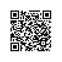 不銹鋼浴室扶手-便利牢靠【藍(lán)品盾】