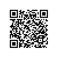 便于老人的廁所扶手簡(jiǎn)單的款式怎么這么實(shí)用？【藍(lán)品盾】