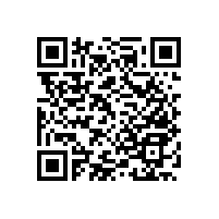 便于老人的廁所扶手-實(shí)用方便【藍(lán)品盾】