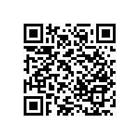 【長春】無障礙扶手,藍(lán)品盾-您身邊的扶手生產(chǎn)廠家！