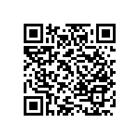 【成都】衛(wèi)生間扶手,廠家直銷的更實惠