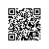 殘疾人蹲便器扶手材質(zhì)結(jié)實嗎？【藍品盾】