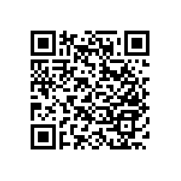 殘疾人蹲便衛(wèi)生間扶手款式簡約支持定制【藍品盾】