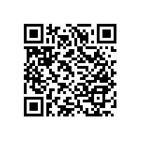 殘疾人的扶手有著人性化設(shè)計(jì)【藍(lán)品盾】