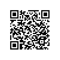 殘疾人扶手呼叫器【藍品盾】