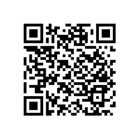 殘疾人扶手欄桿-外柔內(nèi)鋼的設(shè)計【藍品盾】