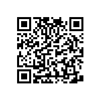 殘疾人淋浴扶手【藍(lán)品盾】