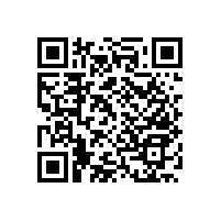 殘疾人上廁所的扶手可滿足狹小空間【藍(lán)品盾】