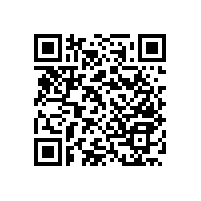 殘疾人生活自小幫手--無障礙安全扶手