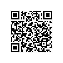 殘疾人衛(wèi)生間蹲位扶手