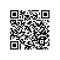 殘疾人衛(wèi)生間防滑扶手“哪些位置要注意防滑”？【藍品盾】