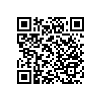 殘疾人衛(wèi)生間扶手廠家哪里有？【藍(lán)品盾】