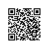 殘疾人衛(wèi)生間扶手結(jié)實耐用【藍品盾】