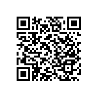 殘疾人衛(wèi)生間扶手中還有一種特殊的扶手是不能忽視的哦！