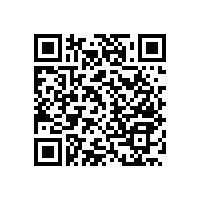 殘疾人衛(wèi)生間扶手，?？漆t(yī)院選中的是這一款