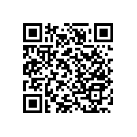 殘疾人衛(wèi)生間改造扶手易使用的貼心設(shè)計(jì)！【藍(lán)品盾】