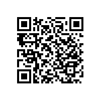 殘疾人衛(wèi)生間拉扶手細(xì)膩多樣的款式【藍(lán)品盾】