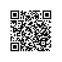 殘疾人衛(wèi)生間墻上扶手【藍(lán)品盾】這樣設(shè)計更貼心