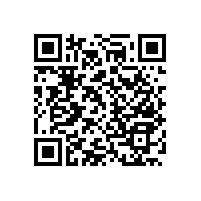 殘疾人衛(wèi)生間用扶手-安全抗菌【藍(lán)品盾】