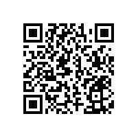 殘疾人衛(wèi)生間專用扶手【藍(lán)品盾】