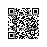 殘疾人衛(wèi)浴扶手實(shí)用的款式【藍(lán)品盾】