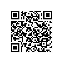 殘疾人無(wú)障礙扶手有哪些特點(diǎn)？【藍(lán)品盾】