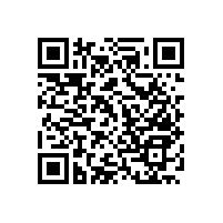 殘疾人無障礙上翻扶手實用嗎？【藍品盾】