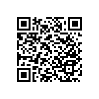 殘疾人小便斗扶手樣式有幾種【藍(lán)品盾】