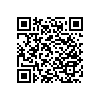 殘疾人小便扶手/結(jié)實牢靠【藍品盾】