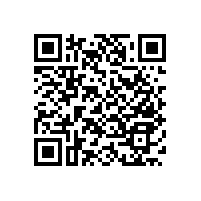 殘疾人洗手間扶手左右翻轉(zhuǎn)省空間【藍(lán)品盾】