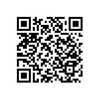 殘疾人用馬桶扶手-左右翻轉(zhuǎn)省空間【藍(lán)品盾】