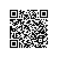 殘疾人坐便器扶手個性化定制【藍(lán)品盾】