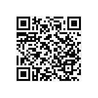 殘疾人專用安全扶手有啥作用？【藍(lán)品盾】