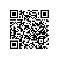 殘疾衛(wèi)生間座便扶手-給老人一個(gè)舒適的老年生活【藍(lán)品盾】