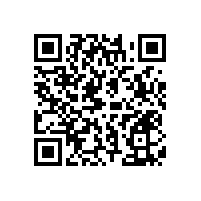 廁所不銹鋼扶手衛(wèi)生間必備【藍(lán)品盾】