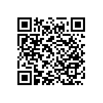 廁所殘疾人扶手/恒溫不生銹【藍(lán)品盾】