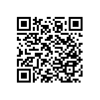 廁所防滑扶手/功能齊全不占空間【藍(lán)品盾】