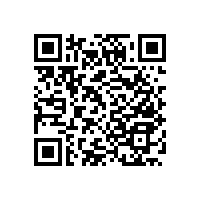 廁所老年人扶手/色彩均勻隨意搭配【藍(lán)品盾】