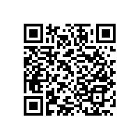 廁所老年人扶手/彎鉤型設(shè)計(jì)【藍(lán)品盾】