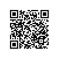 廁所無障礙扶手-結(jié)構(gòu)牢靠/不易褪色【藍(lán)品盾】