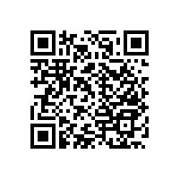 殘衛(wèi)扶手為摔倒老人“頭號安全衛(wèi)士” 【藍(lán)品盾】