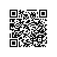 殘衛(wèi)生間的扶手怎么安裝才能去除安全隱患呢？【藍(lán)品盾】