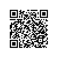 車站第三衛(wèi)生間里的扶手樣式【藍(lán)品盾】