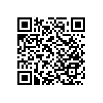 殘障人士如廁借力小工具-無障礙扶手