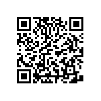 蹲廁殘疾人衛(wèi)生間扶手-十年廠家藍品盾