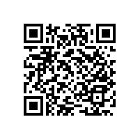 【蹲廁旁邊使用的】衛(wèi)生間墻上扶手拉桿-藍品盾推薦